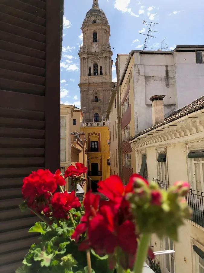 Holidays2Malaga Cathedral View España